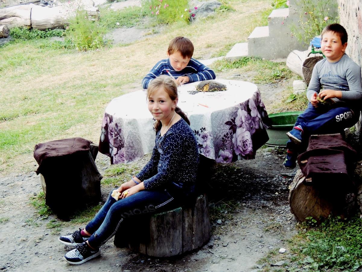 Nino Khetaguri Guest House Kazbegi Eksteriør billede