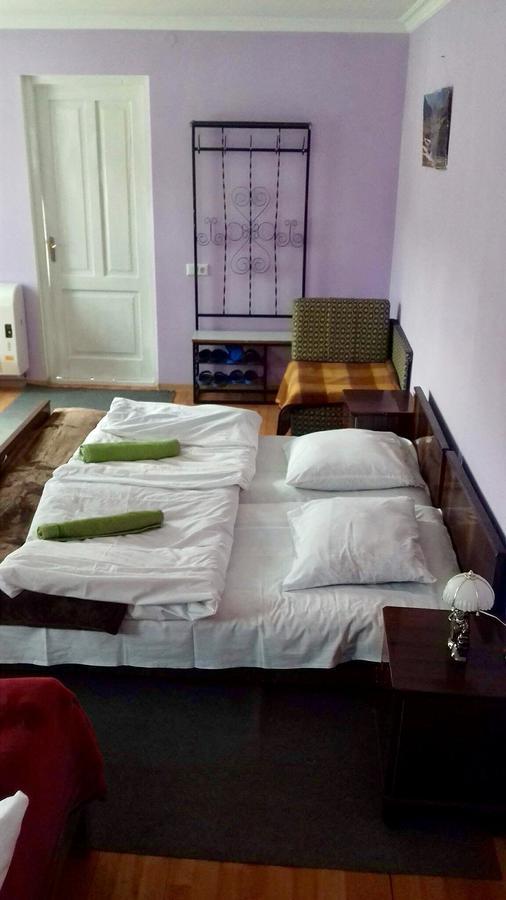 Nino Khetaguri Guest House Kazbegi Eksteriør billede
