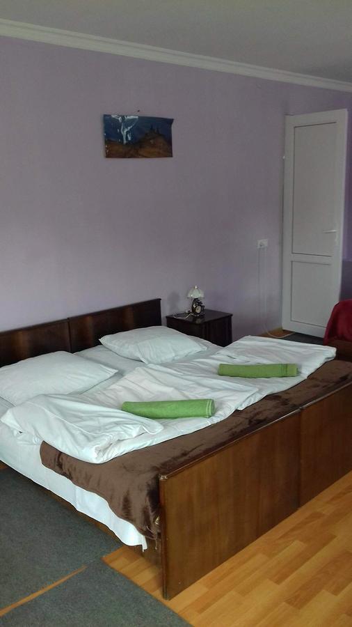 Nino Khetaguri Guest House Kazbegi Eksteriør billede