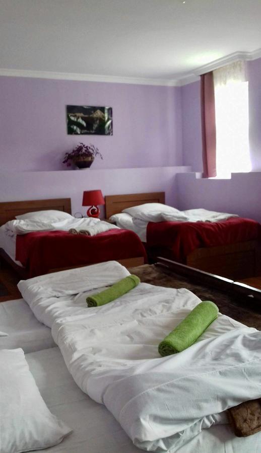 Nino Khetaguri Guest House Kazbegi Eksteriør billede