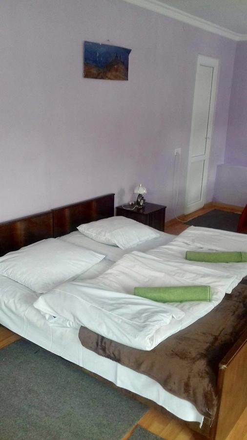 Nino Khetaguri Guest House Kazbegi Eksteriør billede