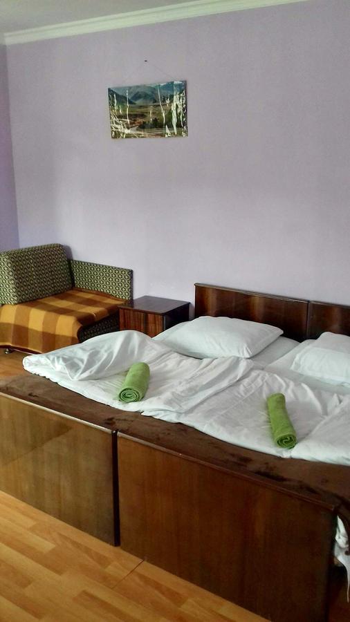 Nino Khetaguri Guest House Kazbegi Eksteriør billede
